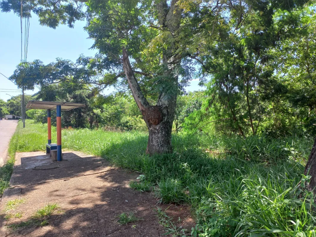 Um dos poucos trechos com calçada fica em frente ao ponto ônibus, na rua Maurilio Mazzer:  promessa da prefeitura é da situação mudar nos próximos meses