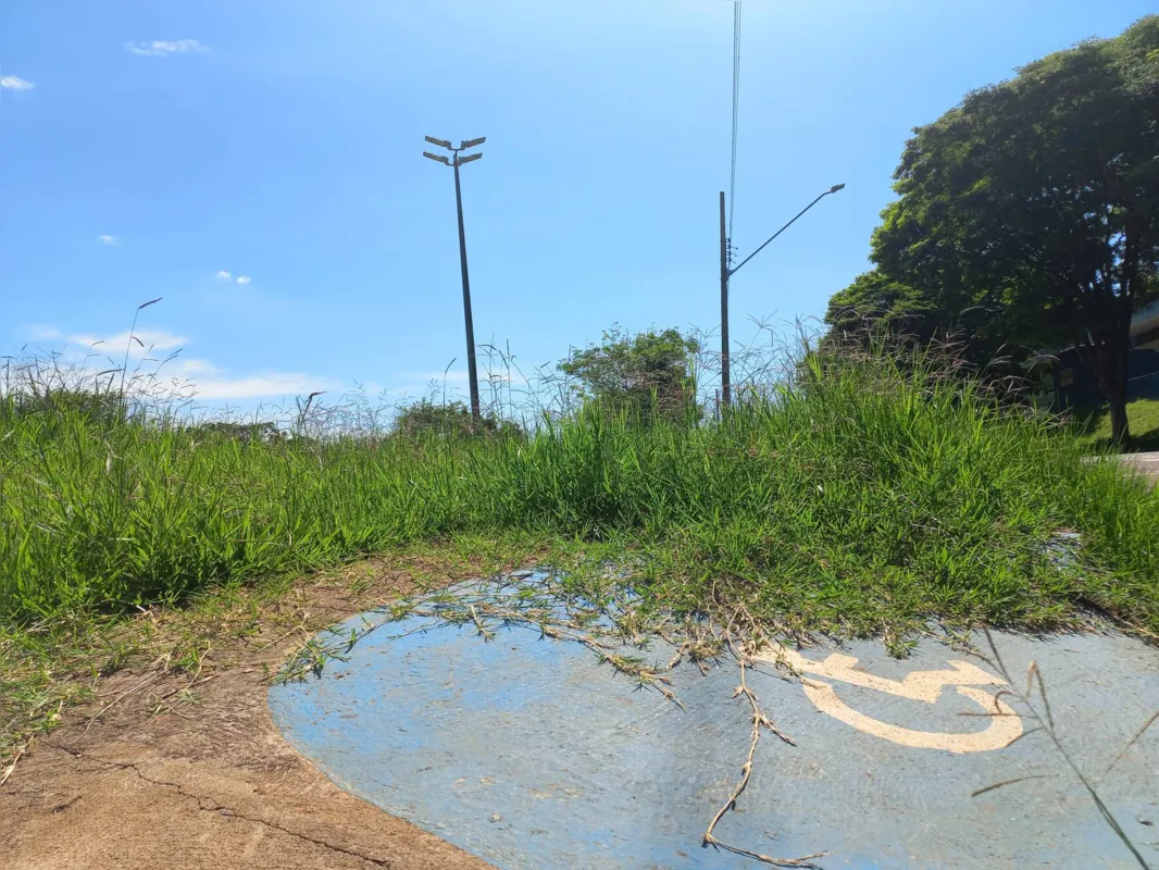 Imagem ilustrativa da imagem Fundo de vale na zona leste de Londrina será revitalizado