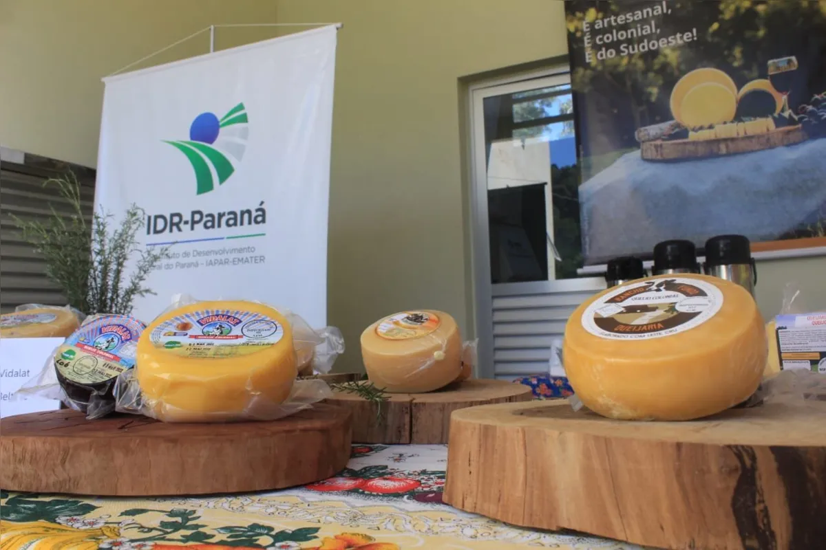 Rota do Queijo acaba de lançar mapa com a localização das 29 queijarias cadastradas