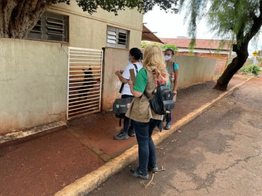 Imagem ilustrativa da imagem Rolândia está em situação de 'alto risco' para a dengue