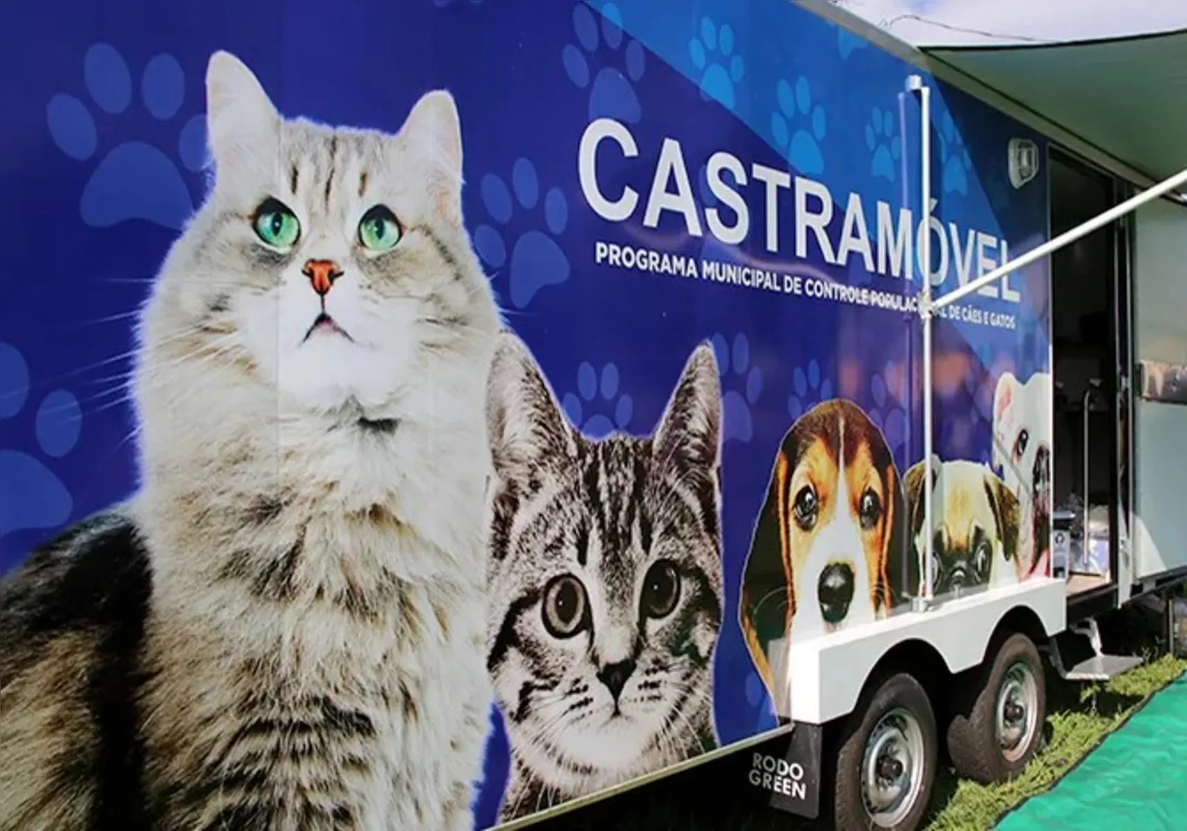 Imagem ilustrativa da imagem Castramóvel realiza 20 mil esterilizações de cães e gatos em Londrina