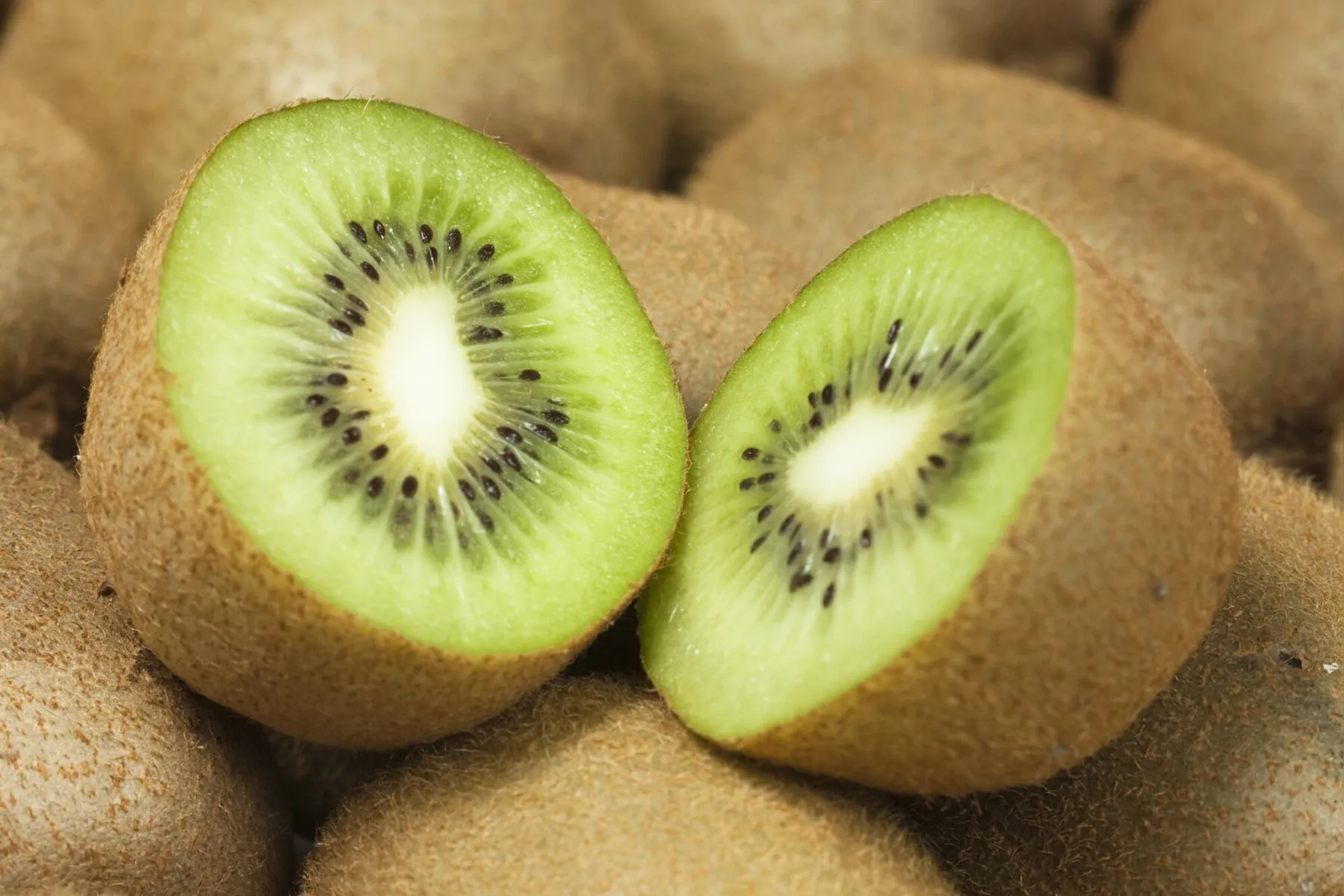 Imagem ilustrativa da imagem Kiwi: versátil, nutritivo e saboroso!