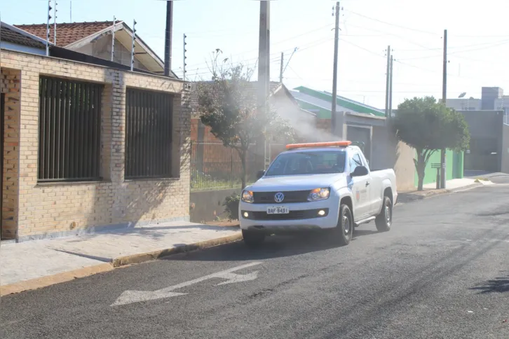 Imagem ilustrativa da imagem Bairros de Arapongas recebem carro fumacê em combate à dengue