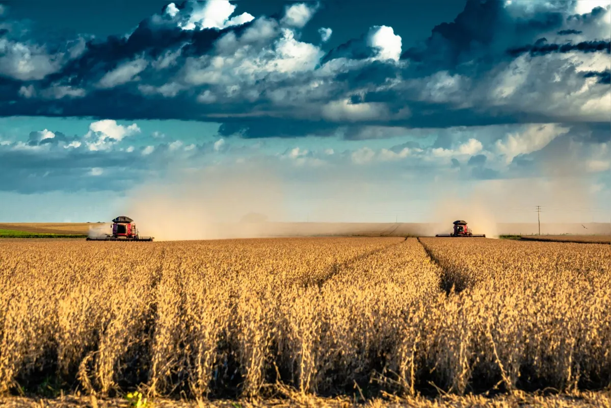 Agricultural harvester machine harvesting soybeans. Tapurah, Mato Grosso, Brazil.