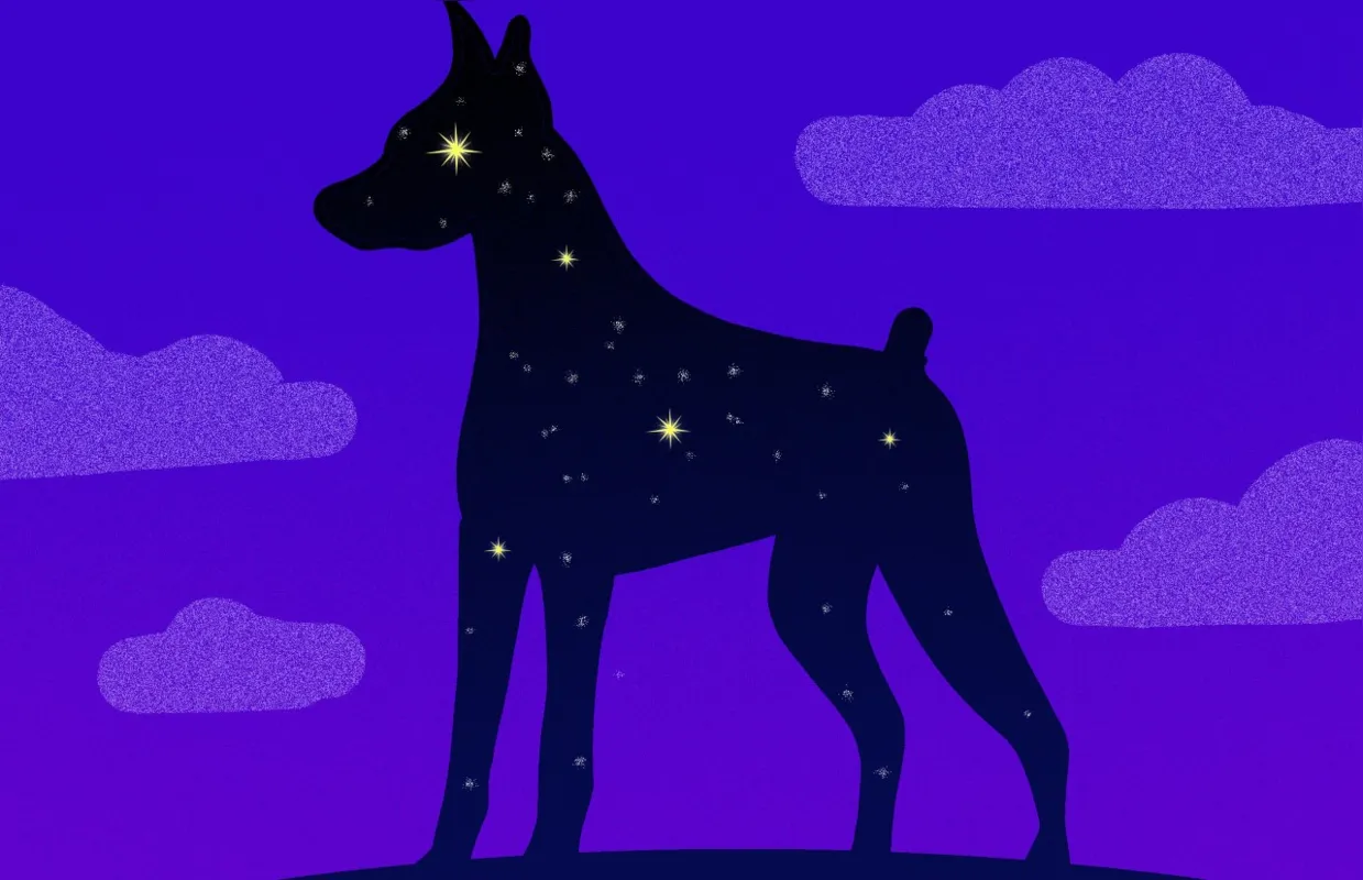 Imagem ilustrativa da imagem Cachorro de sítio