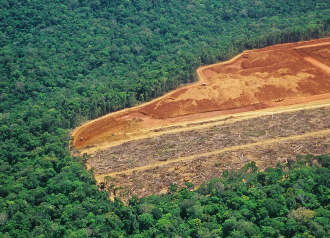 Imagem ilustrativa da imagem EDITORIAL - Brasil, líder em derrubar florestas