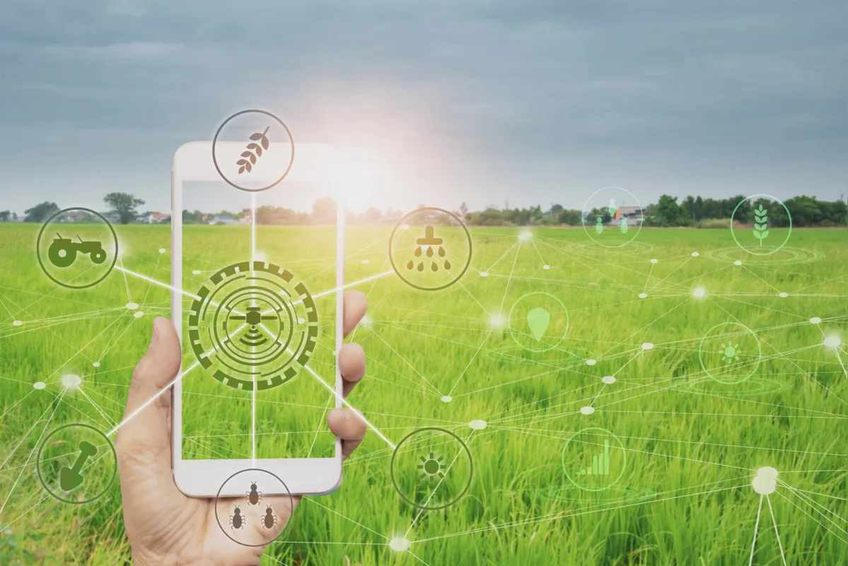 Eventos como hackaton estão acelerando cada vez mais a transição tecnológica no campo