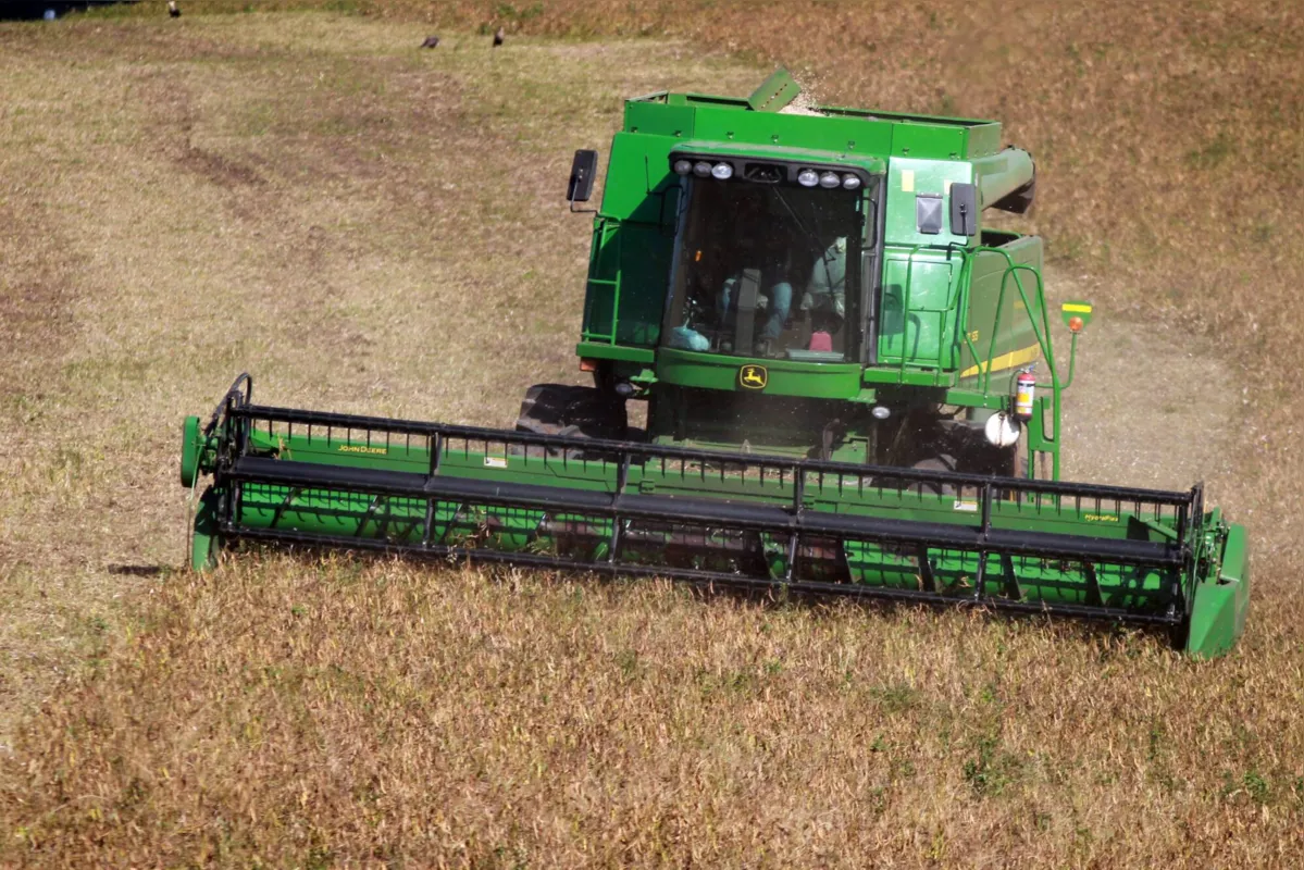 Alimento básico da população brasileira, o Paraná tem neste ano cerca de 300 mil hectares cultivados com feijão segunda safra