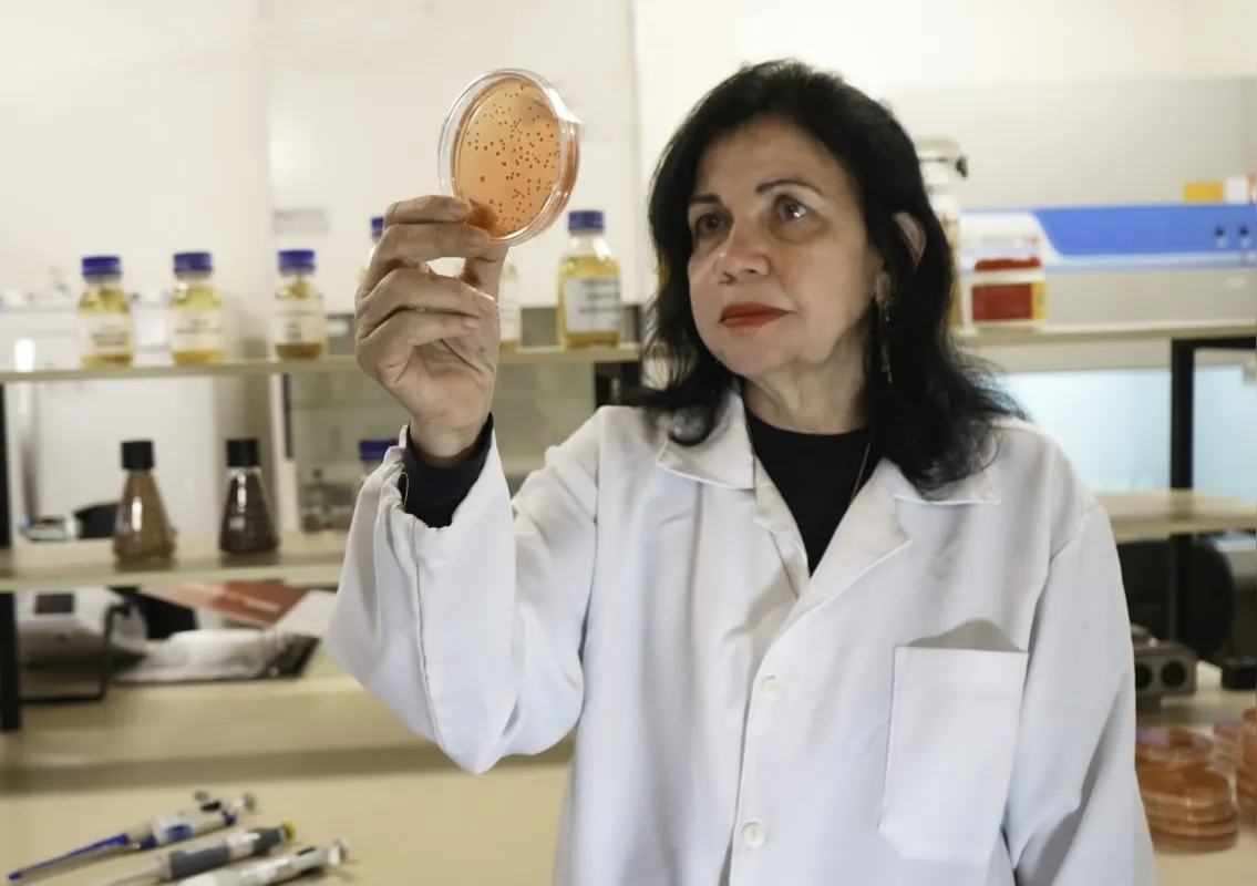 Mariangela Hungria trabalha com micro-organismos cujos processos conseguem substituir parcial ou totalmente os fertilizantes químicos