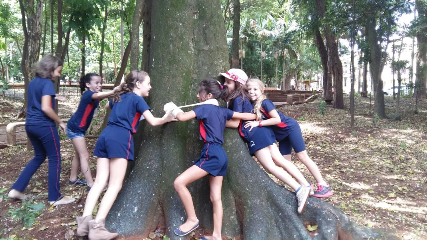 Nesse ponto, a peroba rosa 
 no bosque, o Colégio Mãe de Deus e a Igreja Metodista
