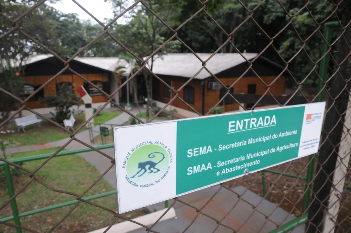Soltar fogos sonoros é proibido desde 2018 e a Sema é a responsável pela fiscalização