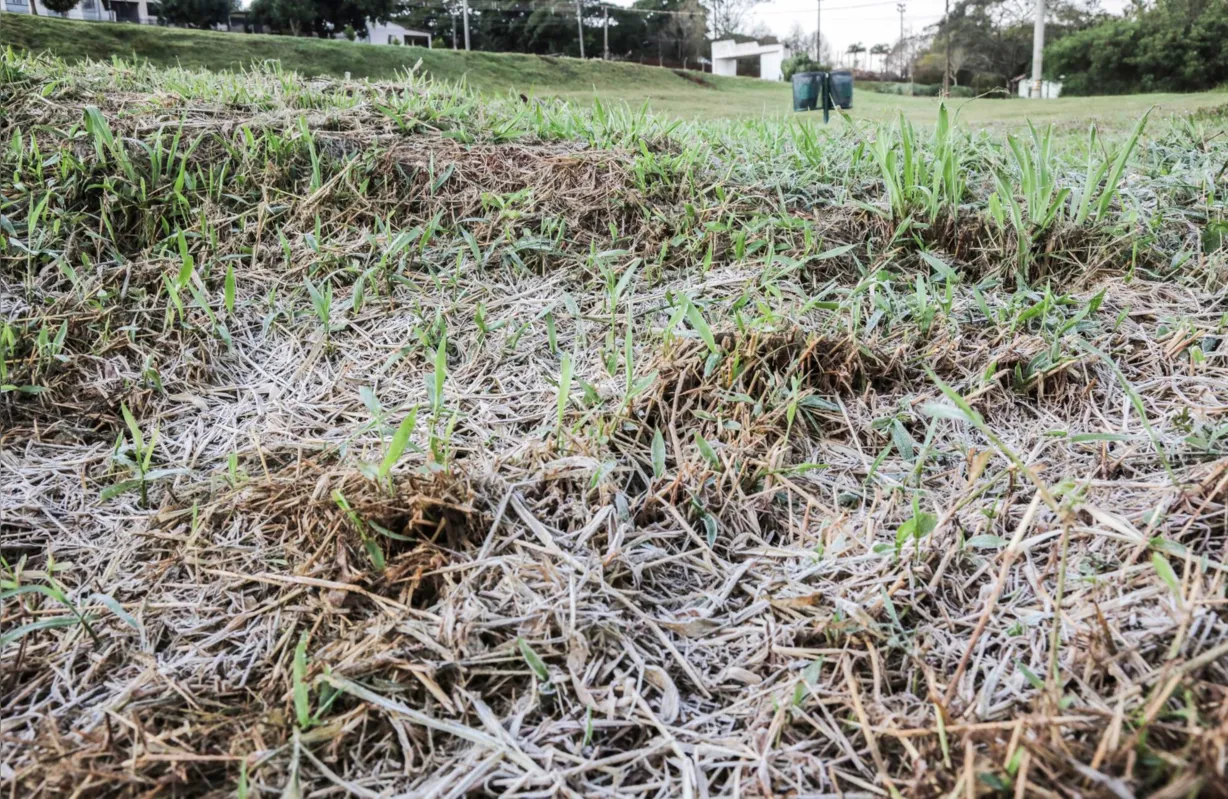 Em Campo Mourão a mínima foi de 1,9°C