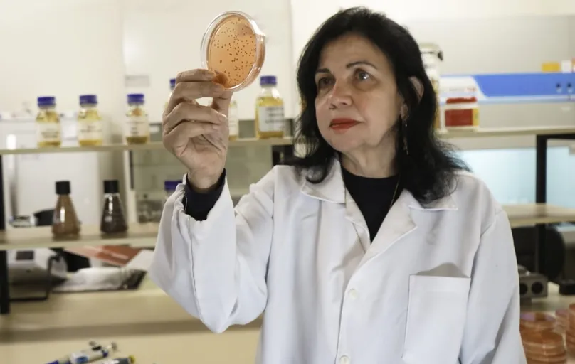 Mariangela Hungria trabalha com micro-organismos cujos processos conseguem substituir parcial ou totalmente os fertilizantes químicos
