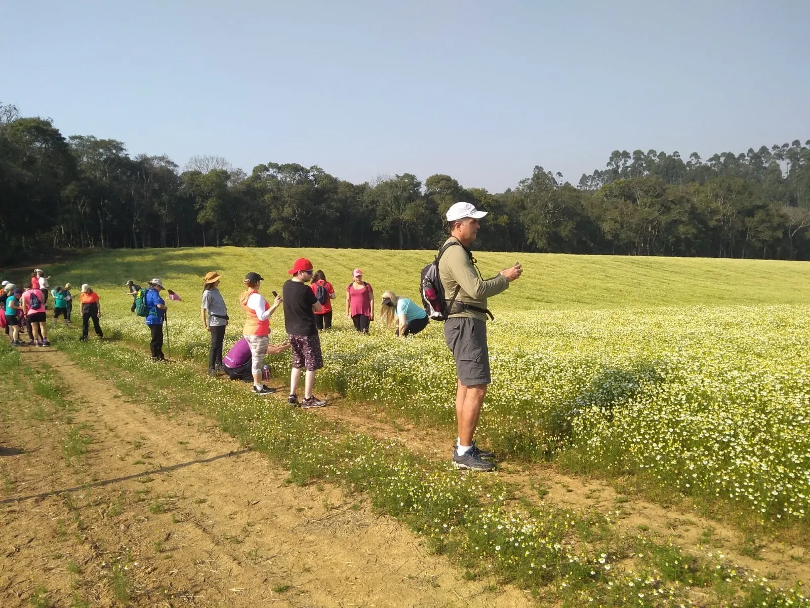 Turistas buscam o melhor ângulo para fotografar os campos floridos de camomila