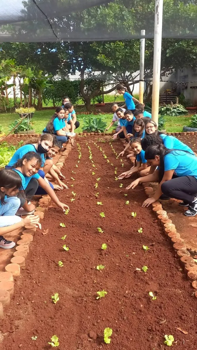 Um dos principais objetivos da implantação das hortas nas escolas é incentivar a alimentação saudável