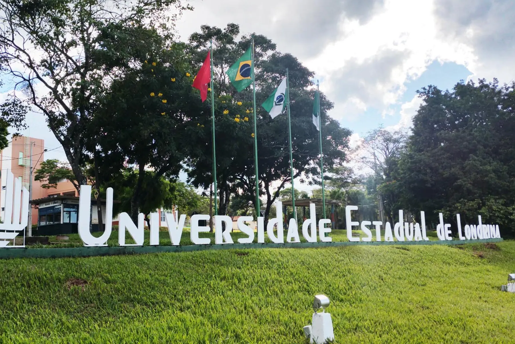 Além da classificação geral, a UEL entre as melhores universidades a instituição se destaca em duas das 51 áreas de concentração avaliadas: Agricultura e Silvicultura e Medicina.