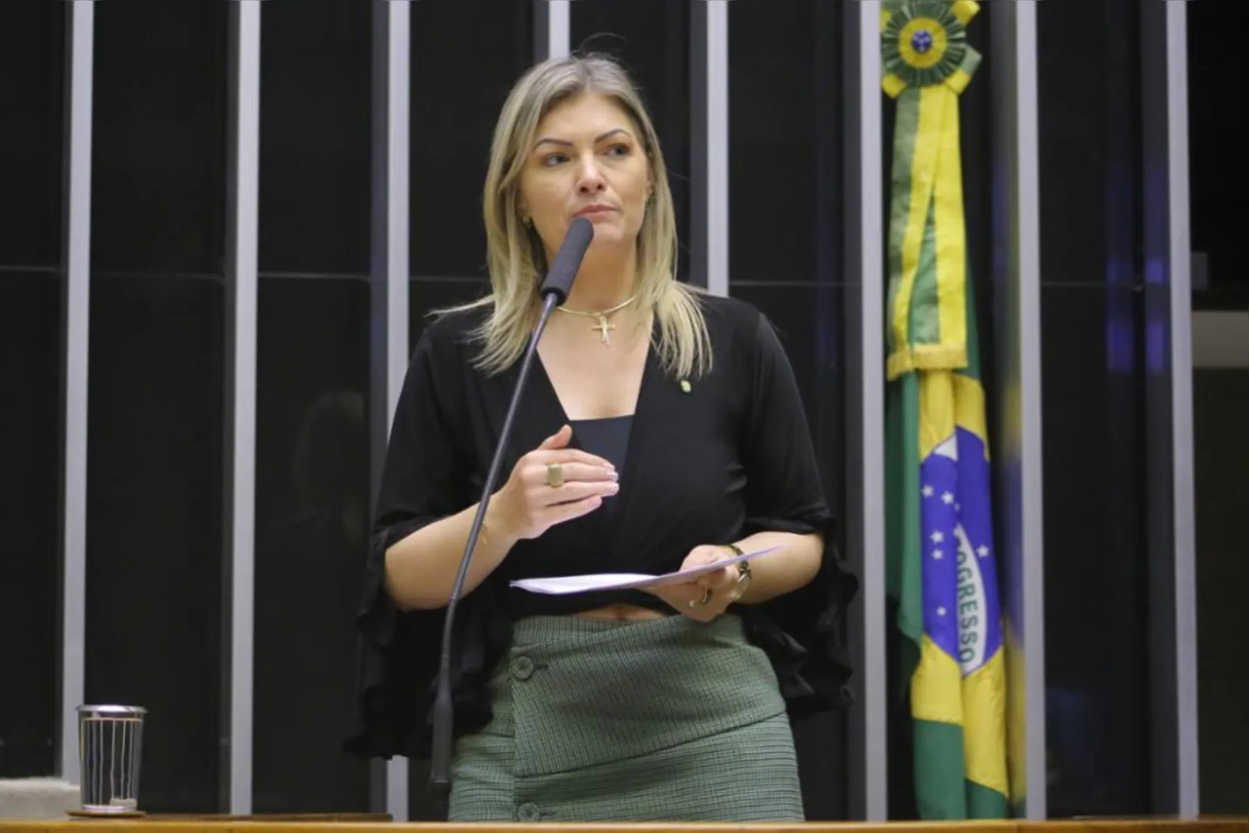 A deputada federal Aline Sleutjes  foi eleita com votos concentrados nos Campos Gerais