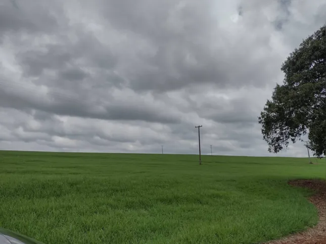 Imagem ilustrativa da imagem CIDADE FALA - Entre o verde da plantação e o cinza do céu.