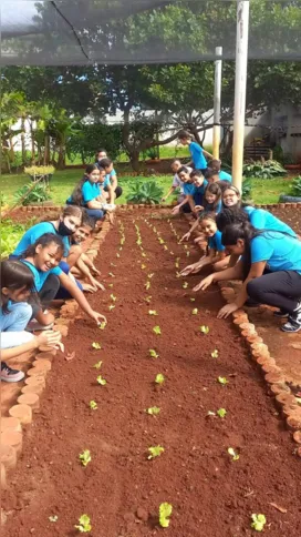 Um dos principais objetivos da implantação das hortas nas escolas é incentivar a alimentação saudável