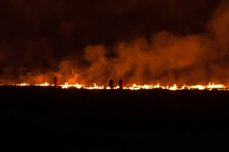 Especialista alerta que a dimensão dos incêndios depende do tipo de cultivo e do tamanho da área atingida