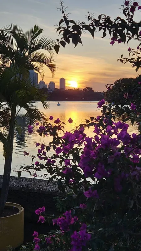 Imagem ilustrativa da imagem #A CIDADE FALA - Bela tarde