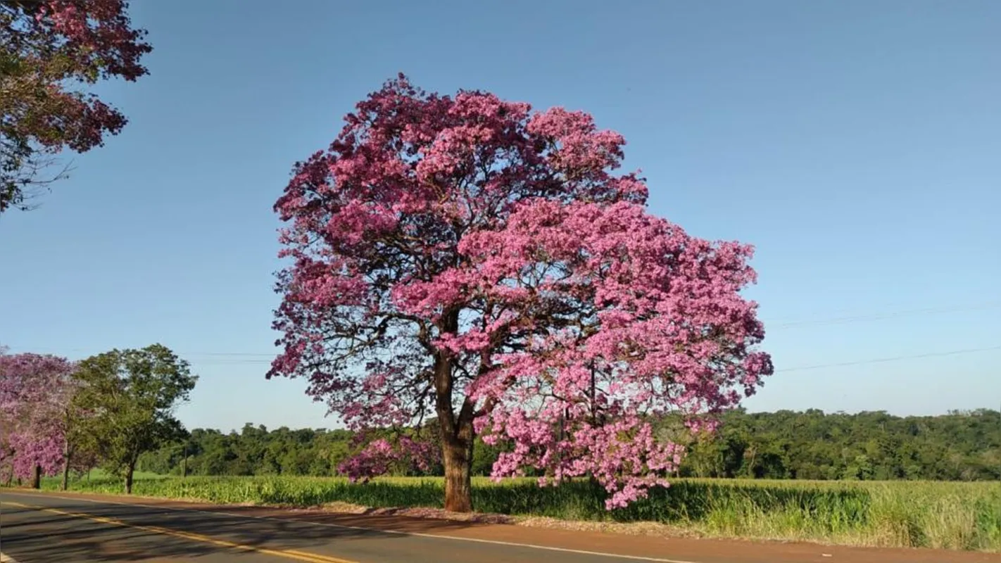Imagem ilustrativa da imagem #A CIDADE FALA - Cenário de belas fotos