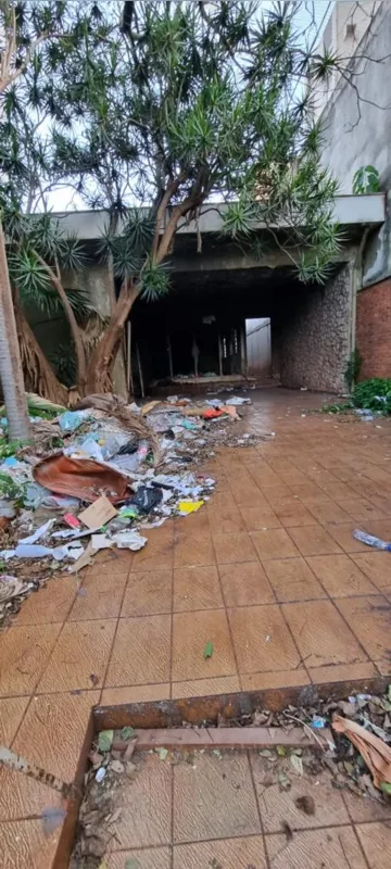 Imagem ilustrativa da imagem Após incêndios, população volta a cobrar solução para ‘mocós’