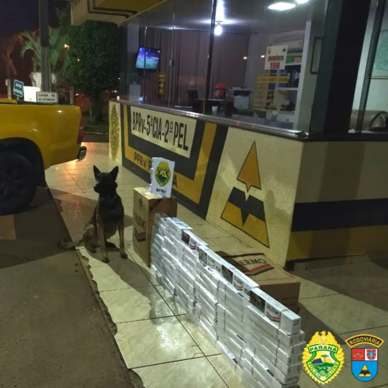 Durante o feriado prolongado foram apreendidas três armas de fogo e mais de 450 quilos de maconha, além de itens de contrabando e descaminho.