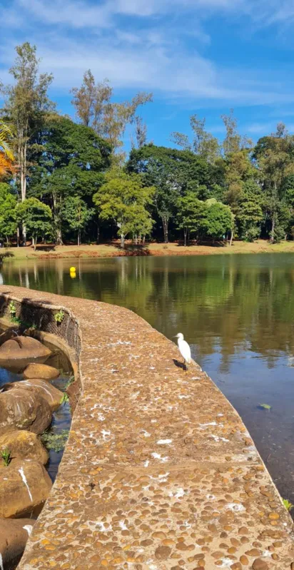 Imagem ilustrativa da imagem CIDADE FALA - Caminhada matinal no lago Igapó 2