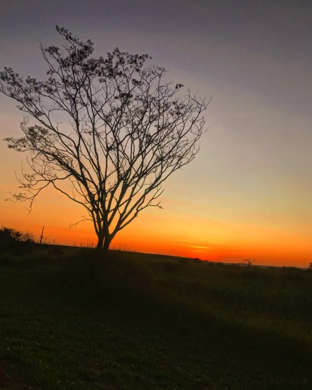 Imagem ilustrativa da imagem CIDADE FALA - Que lindo dia!