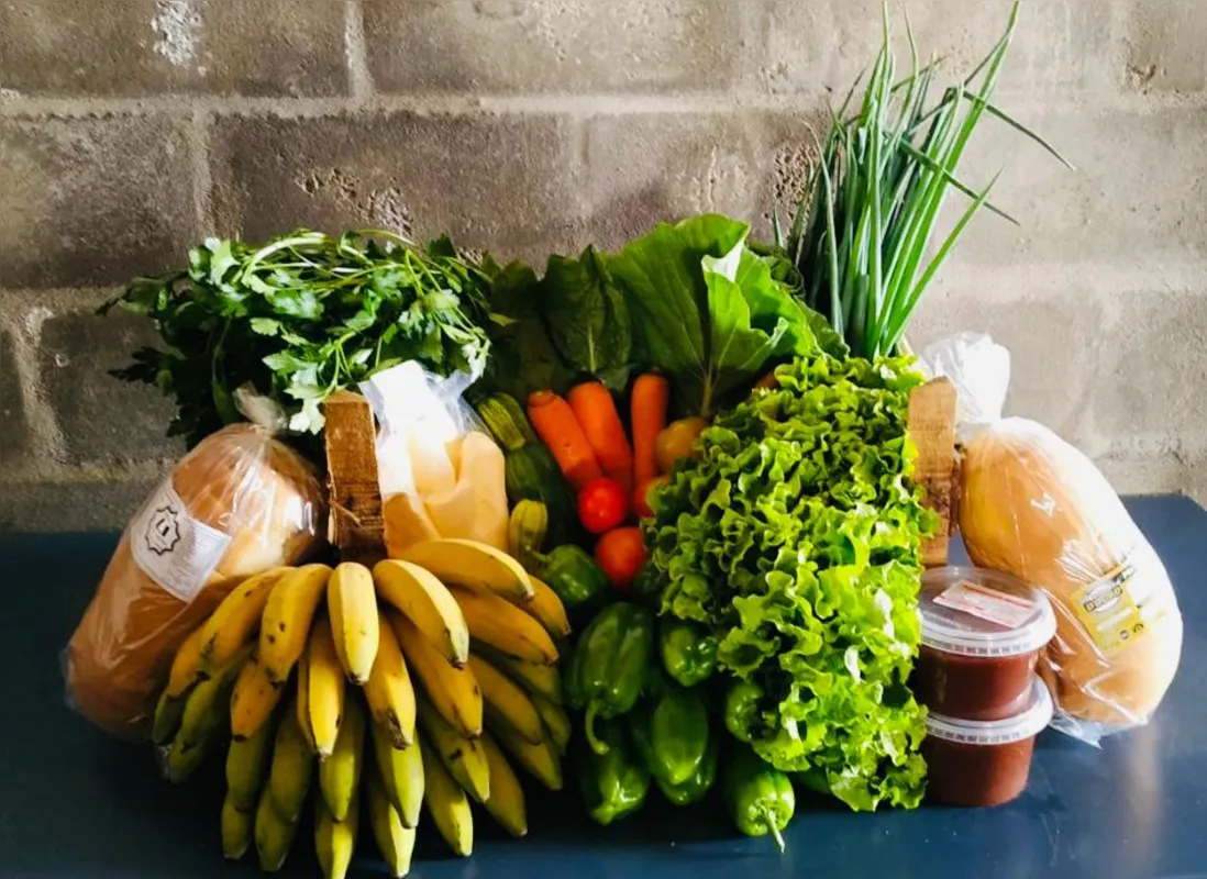 Imagem ilustrativa da imagem Em Apucarana, famílias trocam recicláveis por alimentos frescos