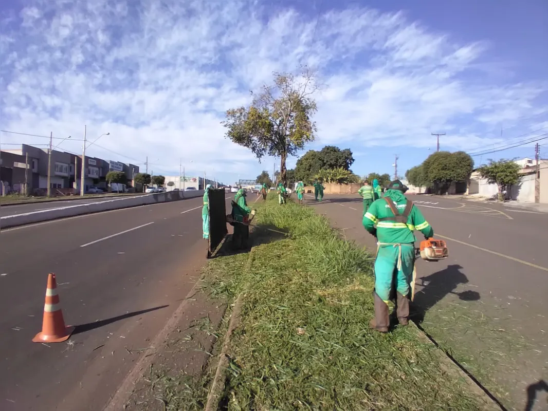 Imagem ilustrativa da imagem Em seis meses, CMTU roçou 761 terrenos particulares em Londrina