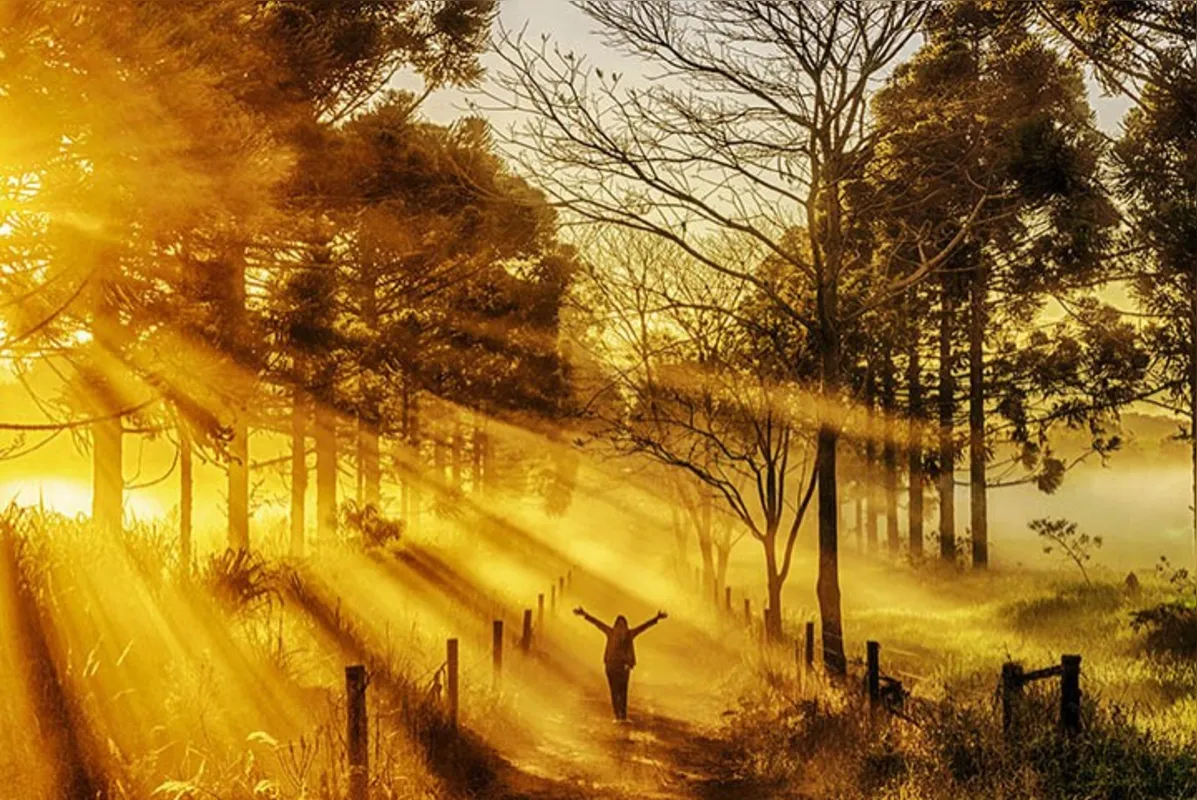 "Sunbeans and Fog", de Flávio Benedito Conceição