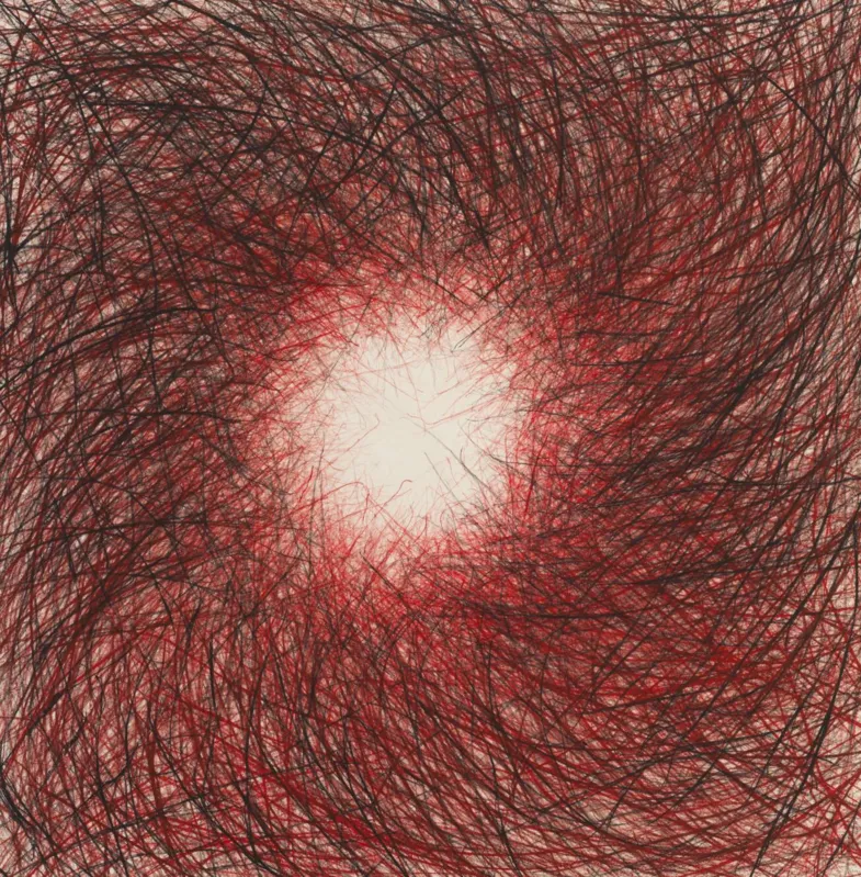 "Chicote vermelho", obra de Vera Martins