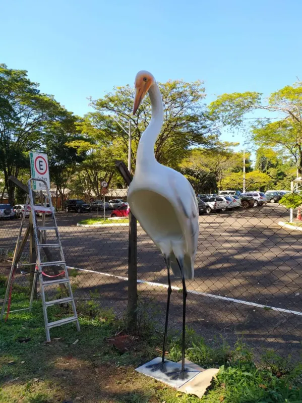 Imagem ilustrativa da imagem Melhorias no Parque Arthur Thomas têm cronograma a curto e longo prazos