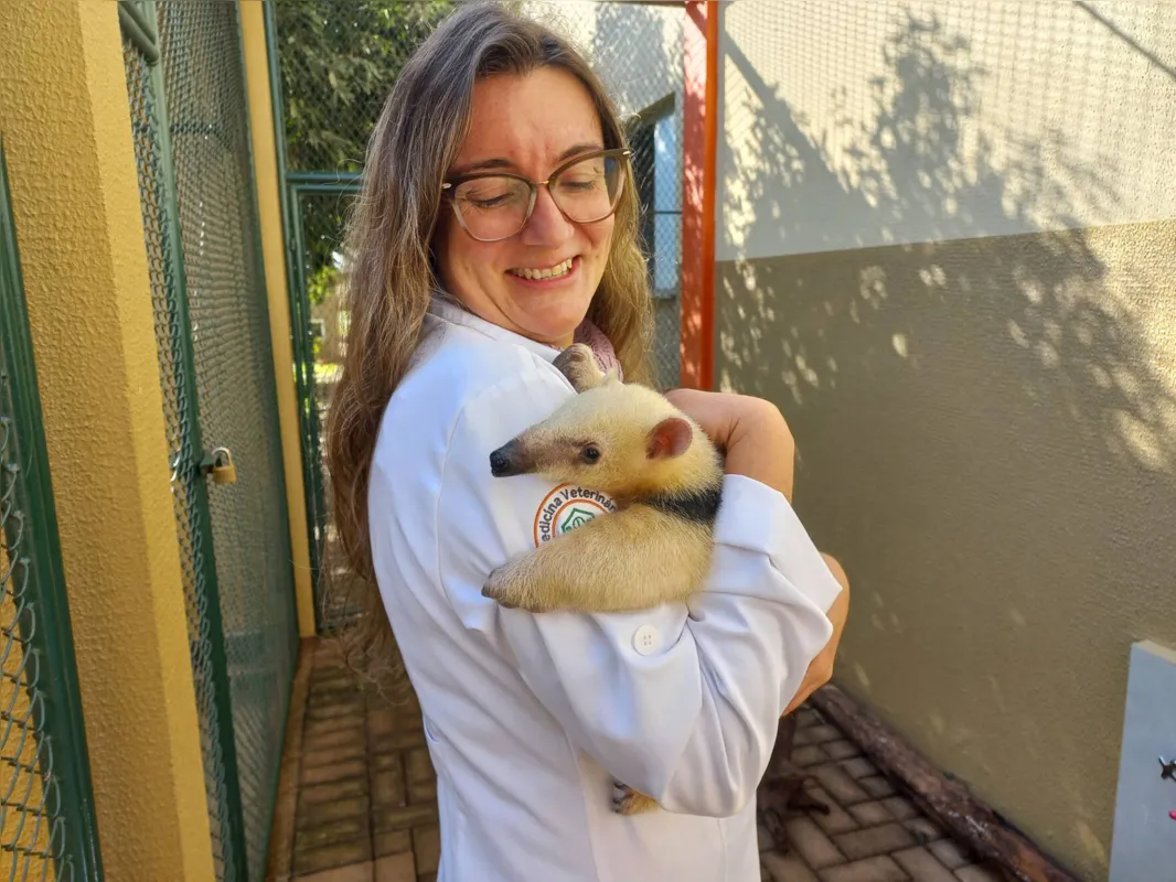 Kadu tem entre quatro e cinco meses e foi encontrado órfão