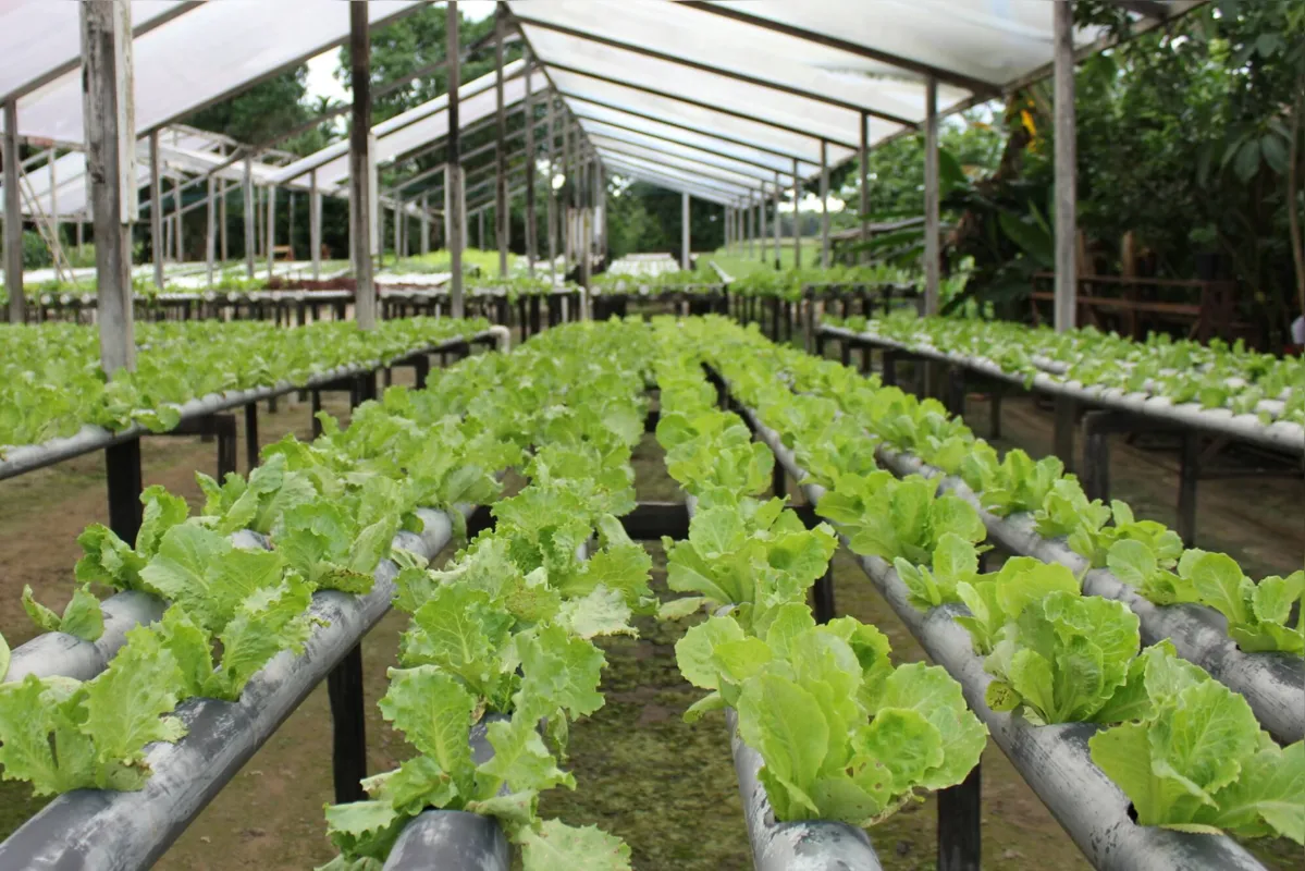 Pequenos agricultores veem na expansão do turismo regional uma forma de vender seus produtos para novos públicos
