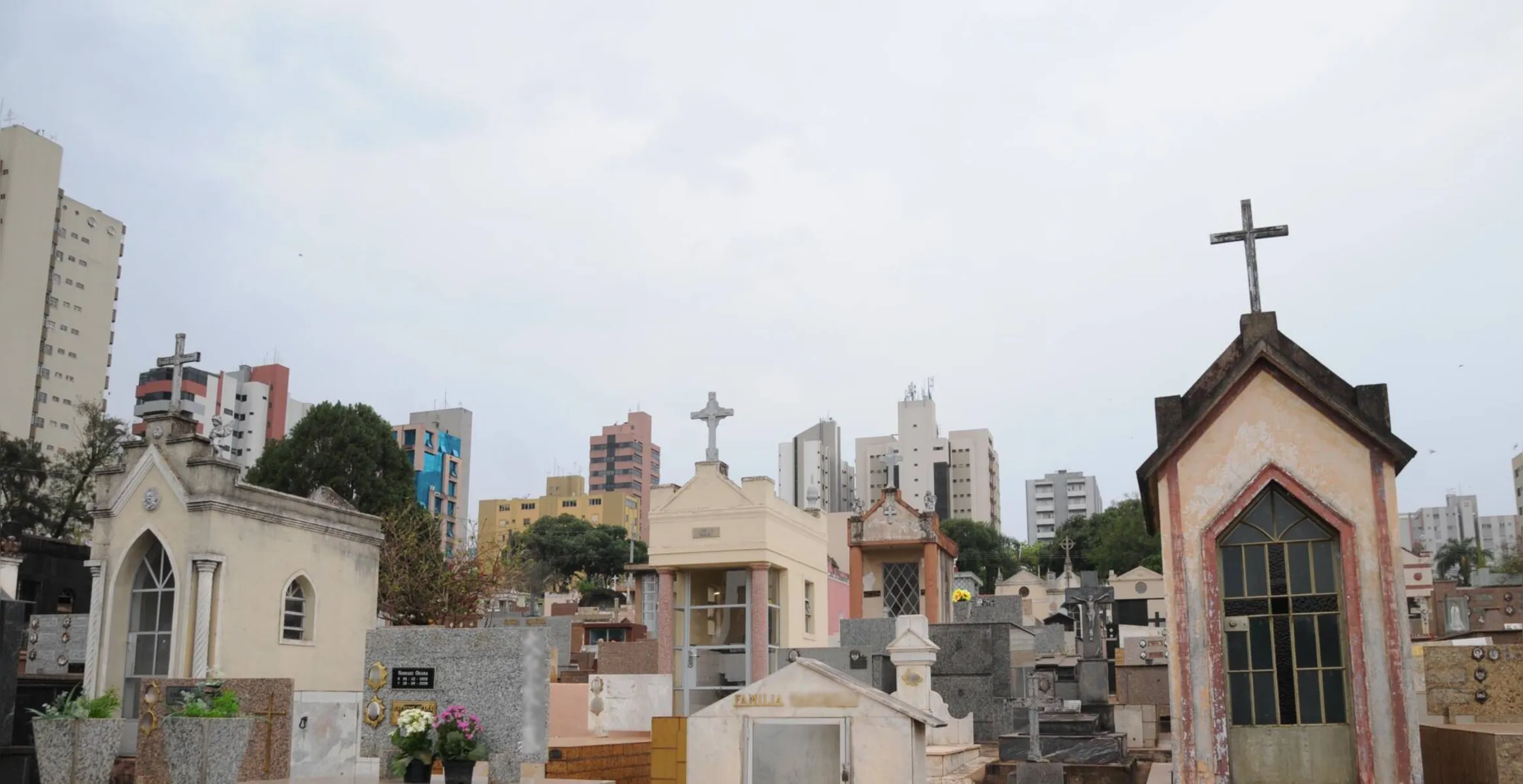 Imagem ilustrativa da imagem CMTU abre cadastramento de ambulantes para venda em cemitérios