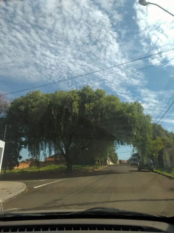 Imagem ilustrativa da imagem #A CIDADE FALA - Caminho