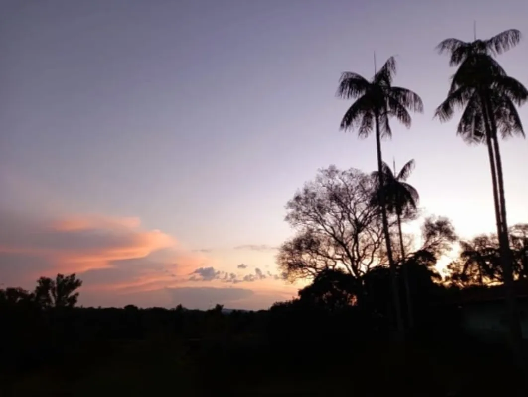 Imagem ilustrativa da imagem #A CIDADE FALA - Londrina