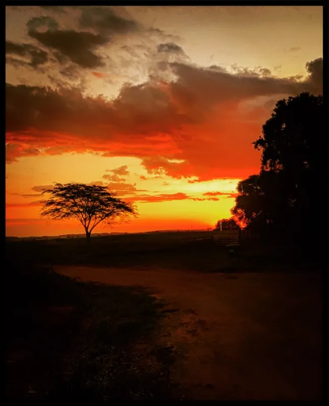 Imagem ilustrativa da imagem #A CIDADE FALA - Sol