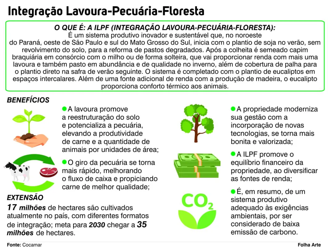 Imagem ilustrativa da imagem Caravana mostra benefícios econômicos e ecológicos da ILPF