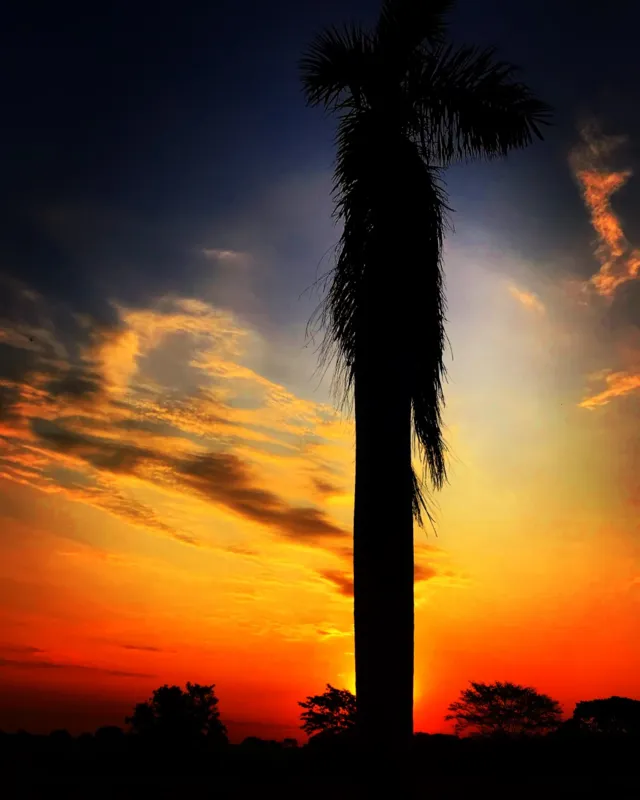 Imagem ilustrativa da imagem # A CIDADE FALA - Sol