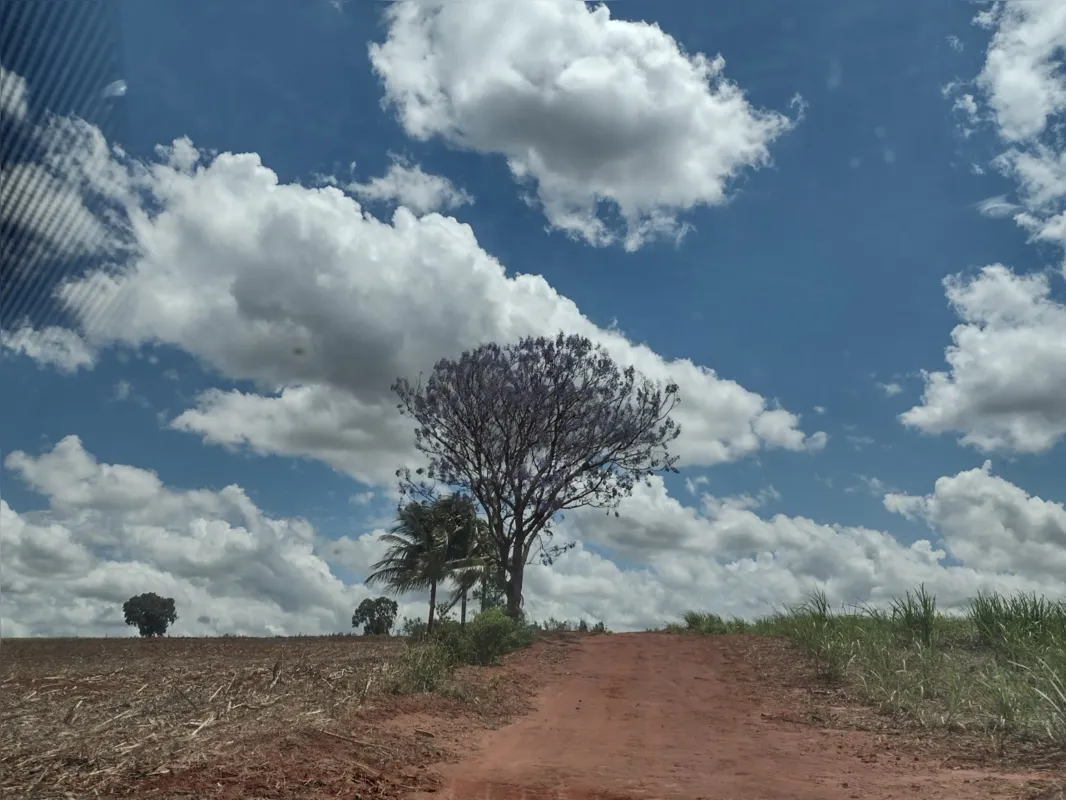 Imagem ilustrativa da imagem #A CIDADE FALA - Belo céu azul