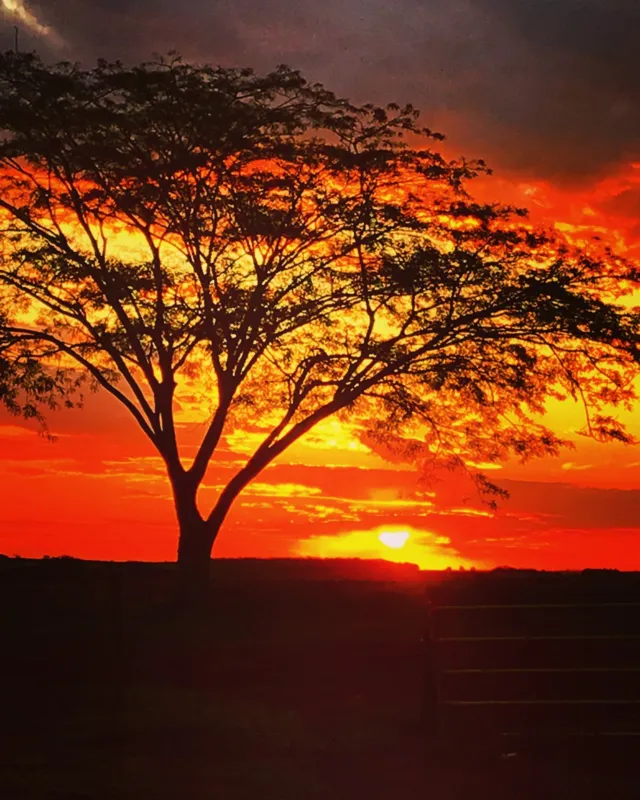 Imagem ilustrativa da imagem #A CIDADE FALA - Dias de sol