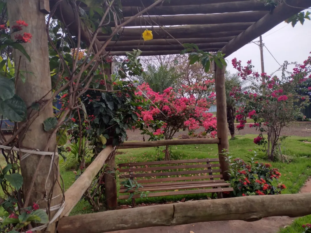 Imagem ilustrativa da imagem #A CIDADE FALA - Flores!