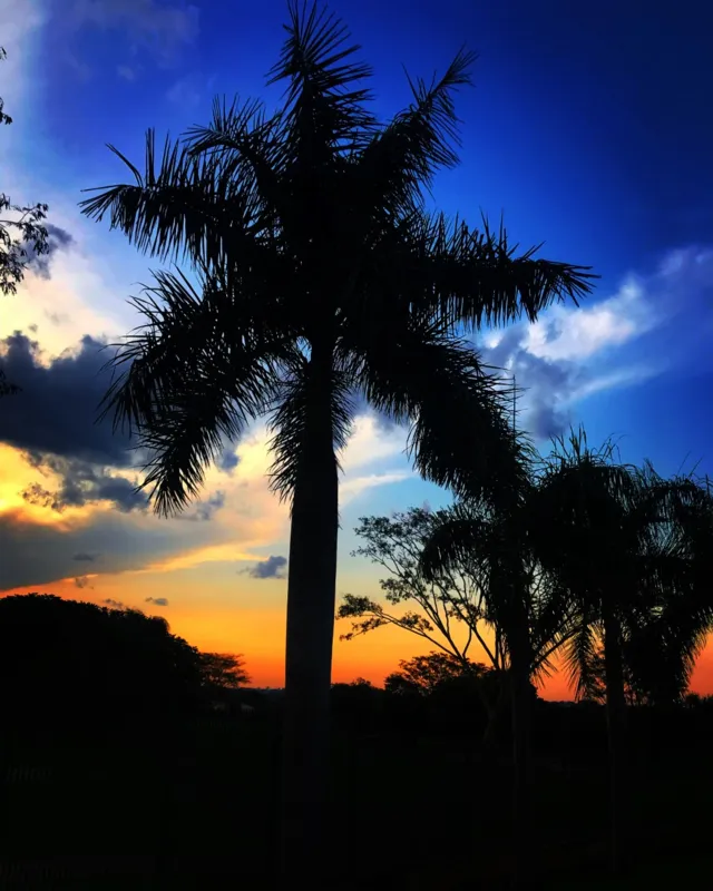 Imagem ilustrativa da imagem A CIDADE FALA - O sol