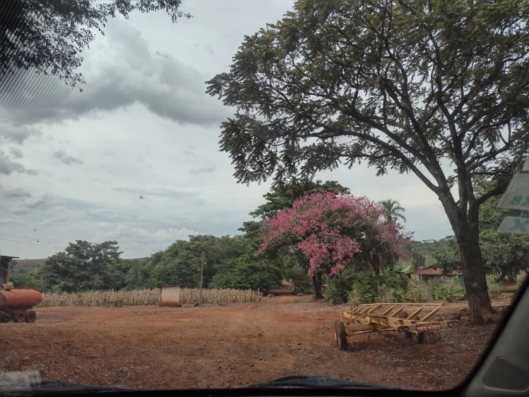 Imagem ilustrativa da imagem A CIDADE FALA - Paisagem