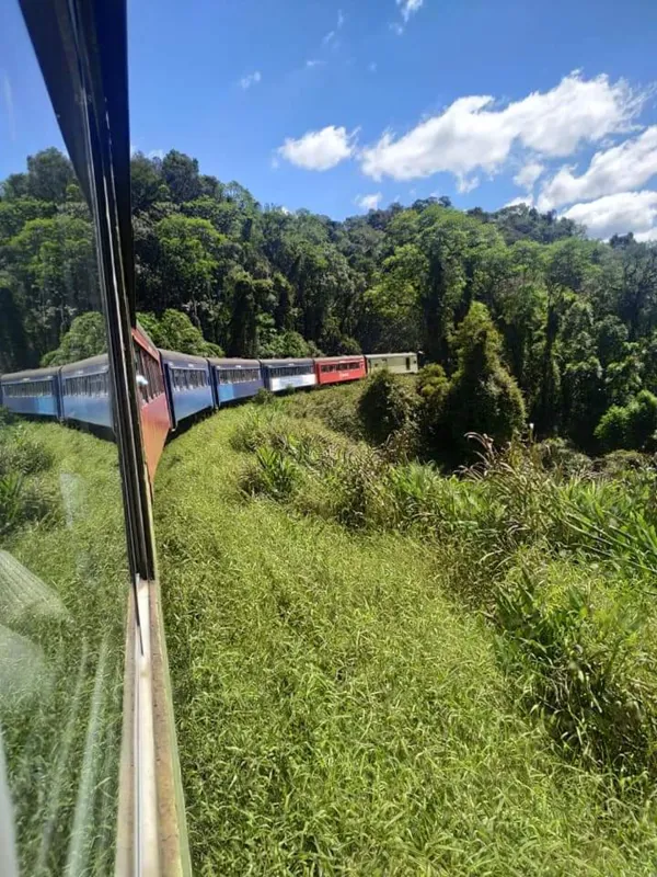 Imagem ilustrativa da imagem #A CIDADE FALA - Passeio de trem