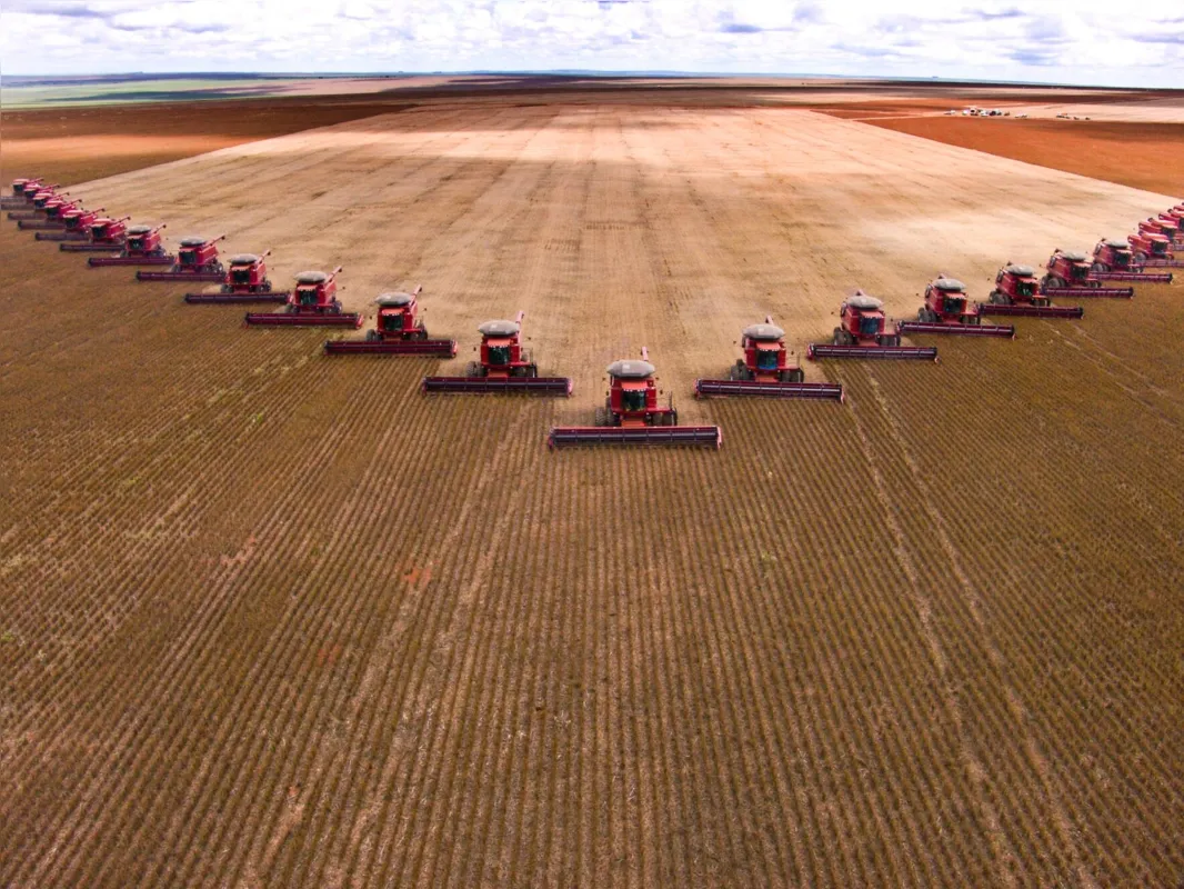 Setor do agronegócio conquistou relevância no cenário graças ao ganho de competitividade no mercado externo e da capacidade de produção de renda
